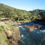 The Middle and North Forks of the American River