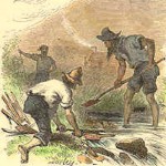 California gold miners